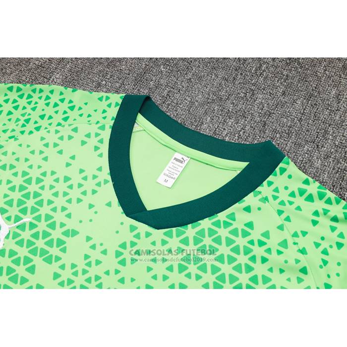 Fato de Treino Palmeiras Manga Curta 2024-2025 Verde - Calcas Curta
